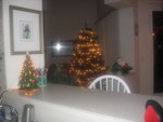  Grandma's Ceramic Christmas Tree
and Our Living Room Tree