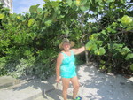   Nancy Among the Sea Grape Leaves