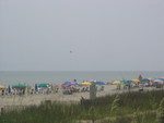  Lots of colorful umbrellas and 
 natural habitat