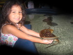  Brave Kylee holds a live crab