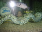  Brandi is looking out from inside
 the bubble