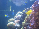  We visited the aquarium in 
 Myrtle Beach