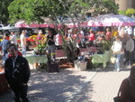 The Center of the Farmer's Market