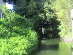  Our one -hour Boat Trip Took Us through Shady Canals