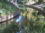  Winding Canals with Lush Vegetation