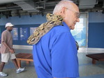  A Snake Handler at the Aquarium with a young Python
