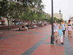 Dogs and People enjoy a walk on the Riverfront-Savannah