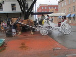 Horse and Buggy--a common sight 
 around Savannah