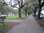
The Walk on Bay Street, along side the 
Savannah River, below.