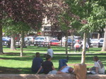  A Lovely Park in the Town Square,
Jackson Hole
We last visited here in 1987