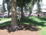  Picture-Perfect Weather !
